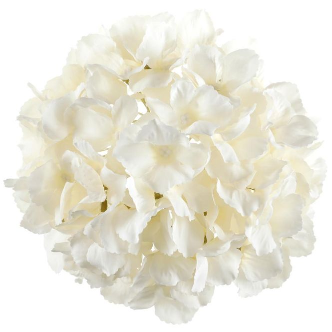 Hovedbilde Hortensia elfenben Ø20 cm
