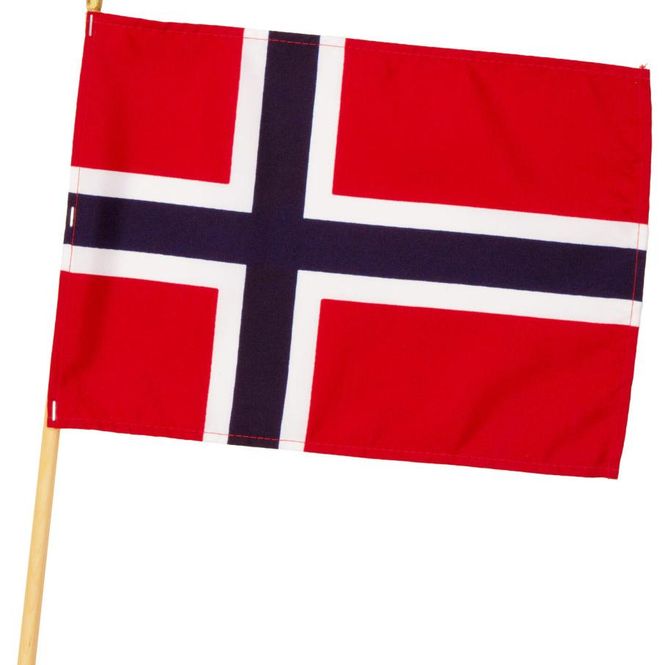 Hovedbilde Norsk flagg 20x28 cm med pinne 65 cm