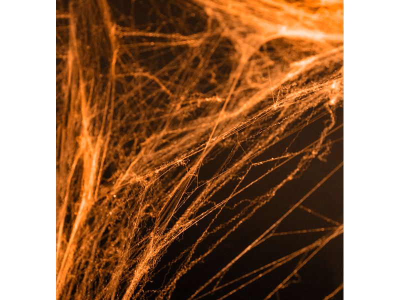 Edderkoppnett Halloween, oransje